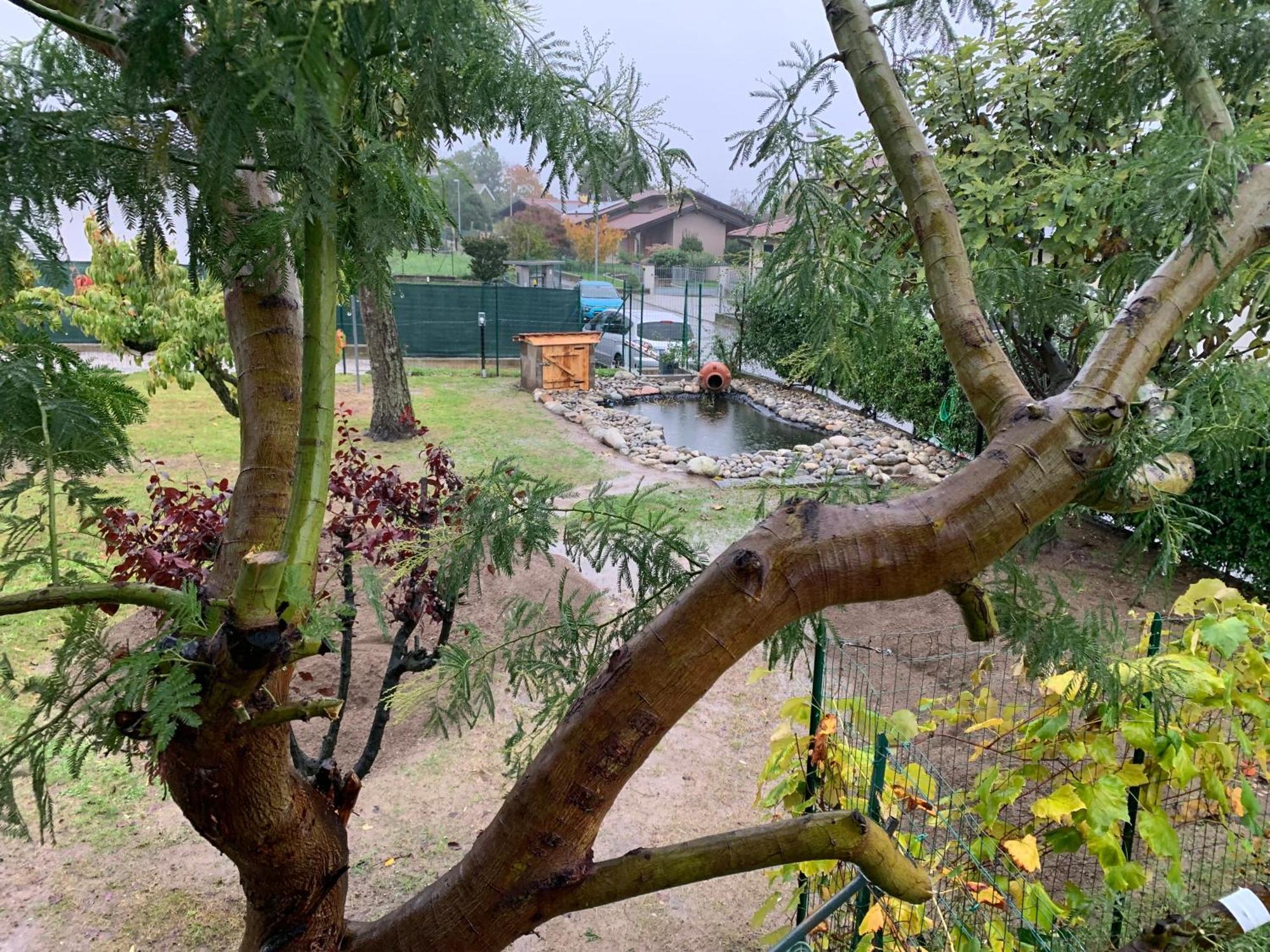 Bed&Breakfast Indi Thelar Villa Guardia Bagian luar foto